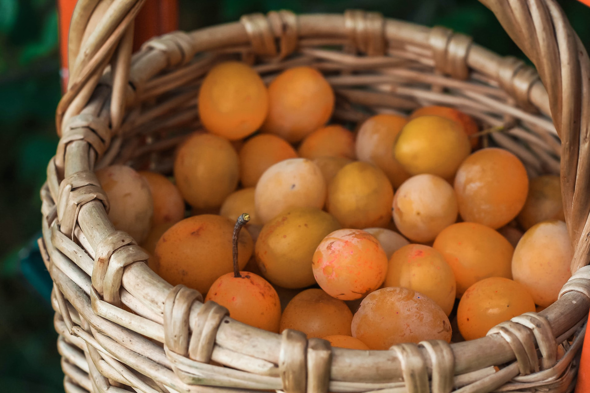 Image of a fruit basket filled with orange fruits and flowers